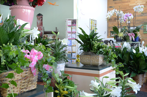 Florist «Flowers By Shirley», reviews and photos, 2200 US-1, St Augustine, FL 32086, USA