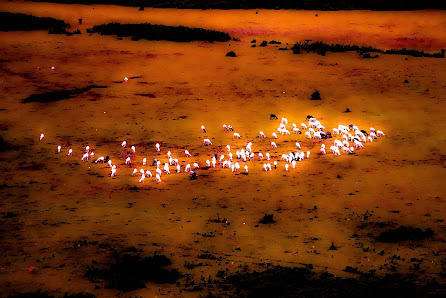 LUNA DEL GRANO VERDE - Cross Cities 24-25 agosto 2021 Ente Parco Regionale Taburno Camposauro, 82038 Vitulano BN, Italia