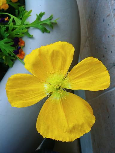 Shoe Store «DSW Designer Shoe Warehouse», reviews and photos, 7923 N Blackstone Ave, Fresno, CA 93720, USA