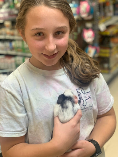 Pet Store «Petland», reviews and photos, 920 Hebron Rd, Heath, OH 43056, USA