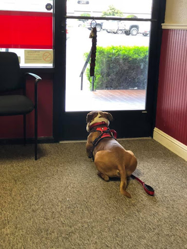 Auto Insurance Agency «Craig Winton - State Farm Insurance Agent», reviews and photos