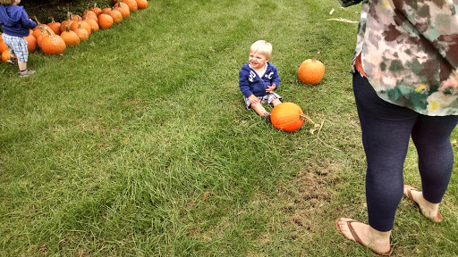 Produce Market «Kroul Farms», reviews and photos, 245 IA-1, Mt Vernon, IA 52314, USA