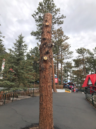 Amusement Park «North Pole Colorado Santa’s Workshop», reviews and photos, 5050 Pikes Peak Hwy, Cascade, CO 80809, USA