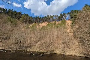 Pūčkorių pažintinio tako žemutinė apžvalgos vieta image