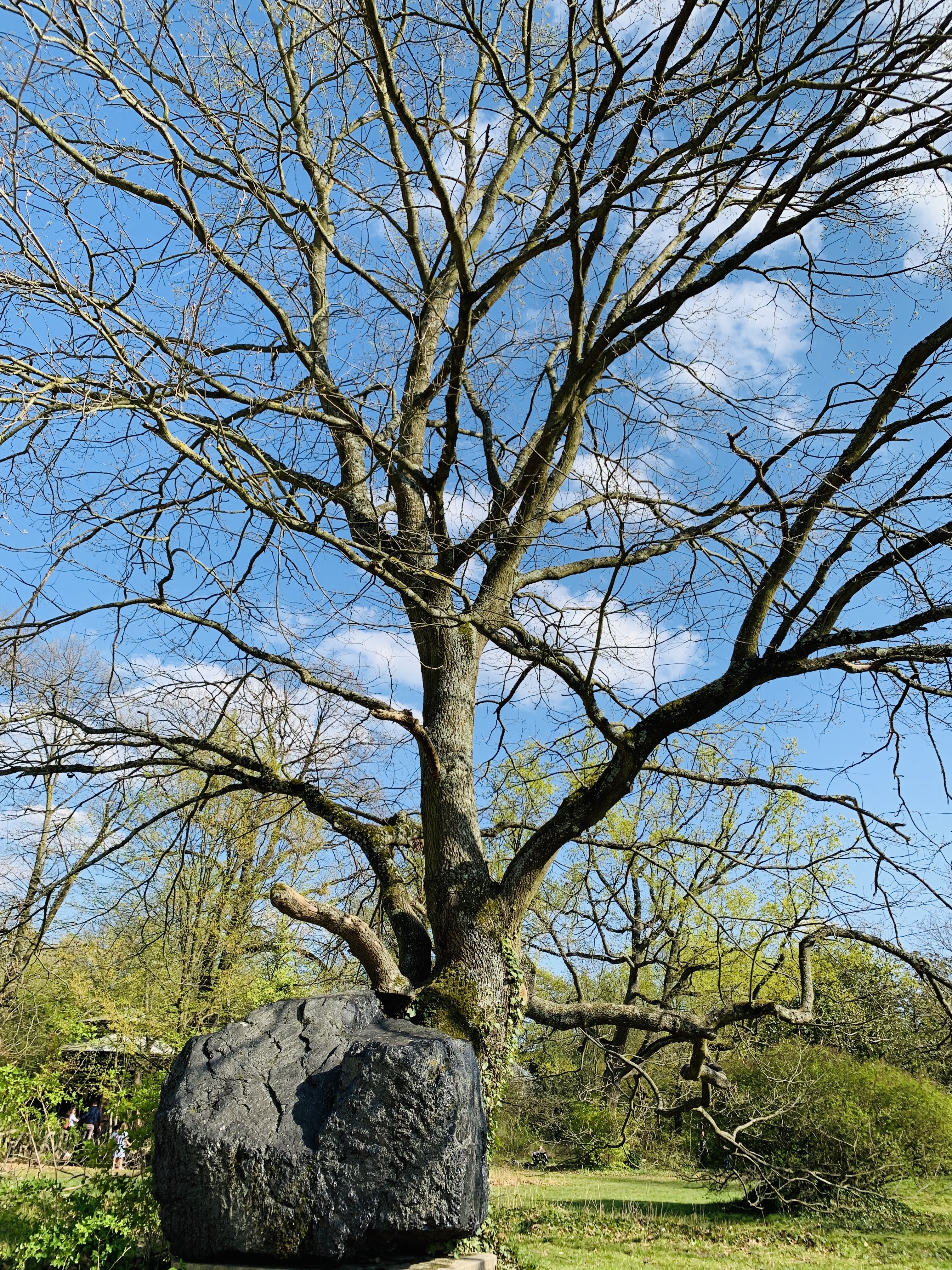 Photo n° 22 de l'avis de Hugo. fait le 22/04/2019 à 13:18