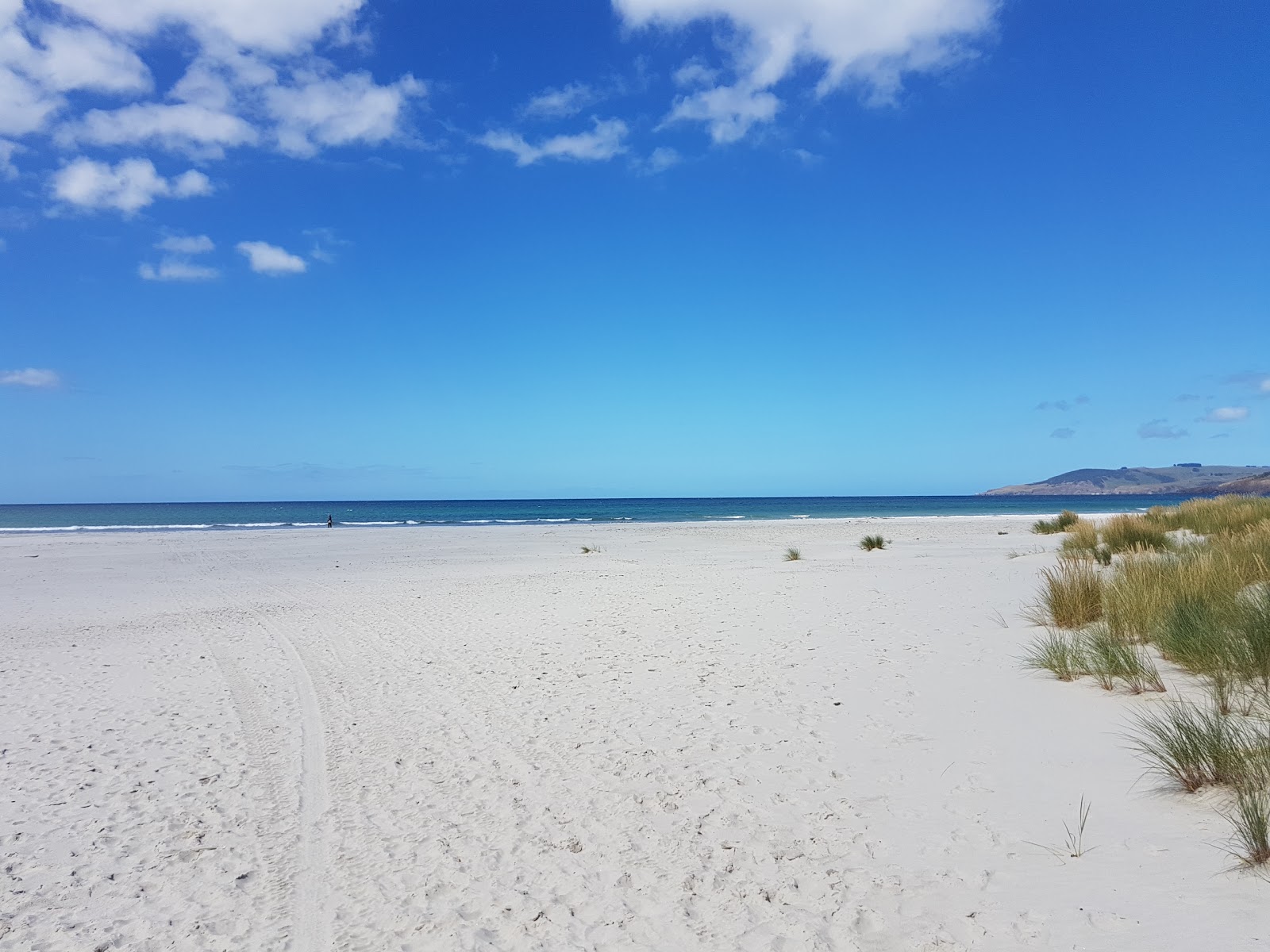 Photo de Warrington Beach zone sauvage