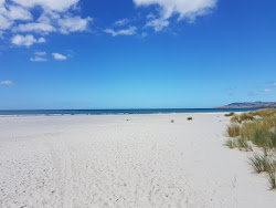 Warrington Beach'in fotoğrafı vahşi alan
