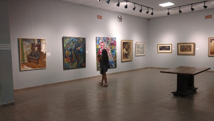 Museo de Artes Visuales Victor Roverano