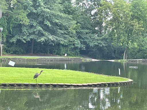 Park «Roswell Area Park», reviews and photos, 10495 Woodstock Rd, Roswell, GA 30075, USA