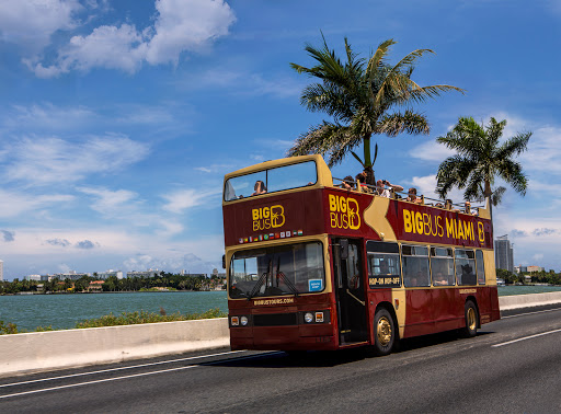 Bus Tour Miami