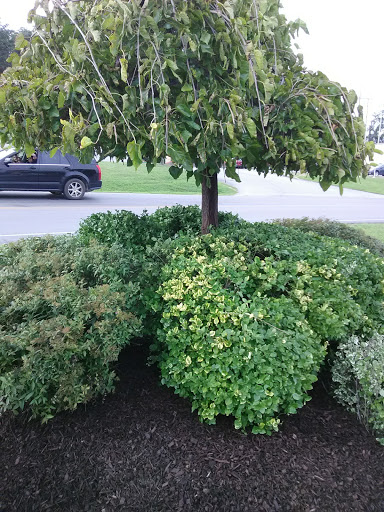 Fast Food Restaurant «Sonic Drive-In», reviews and photos, 2917 KY-1629, Corbin, KY 40701, USA