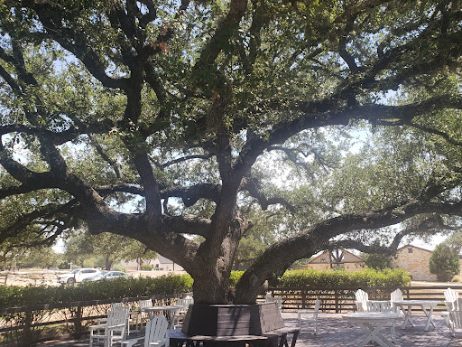 Golf Club «Vaaler Creek Golf Club», reviews and photos, 228 Jeff Vaughn, Blanco, TX 78606, USA