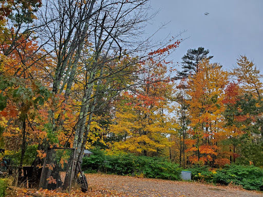 Seafood Market «Parsons Lobsters», reviews and photos, 64 Eagle Lake Rd, Bar Harbor, ME 04609, USA