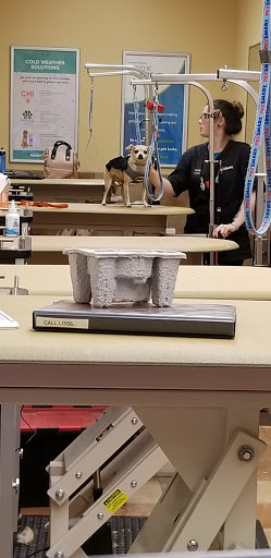 Pet Supply Store «PetSmart», reviews and photos, 4794 Jimmy Lee Smith Pkwy #108, Hiram, GA 30141, USA