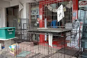 Pets Direct - Klang - Pemborong Makan Kucing No 1 - Royal Canin Wholesaler image