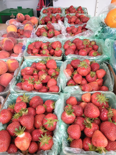 Discount Store «Dollar General», reviews and photos, 855 Squirrel Hollow Dr, Linden, TN 37096, USA