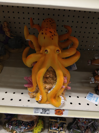 Pet Supply Store «PetSmart», reviews and photos, 6675 S Virginia St, Reno, NV 89511, USA