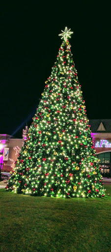 Movie Theater «iPic Theaters», reviews and photos, 100 W Higgins Rd, South Barrington, IL 60010, USA