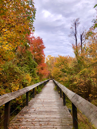 Paint Branch Trail
