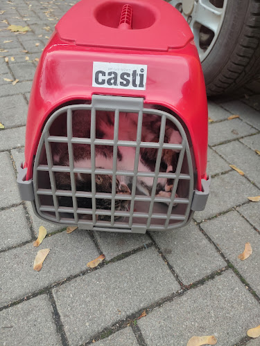 Comentarii opinii despre Lecznica weterynaryjna Roman Niesterczuk