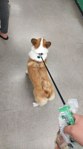 Pet Supply Store «Pet Supplies Plus», reviews and photos, 3644 Long Beach Rd, Oceanside, NY 11572, USA