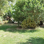 Photo n°3 de l'avis de Fabio.o fait le 05/09/2019 à 10:00 sur le  Agriturismo Naturabio à Alghero