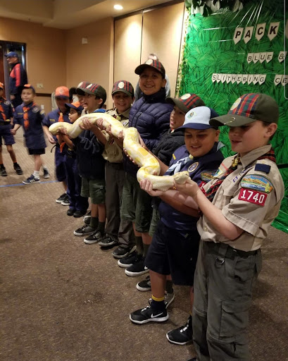 Reptile Store «Paramount Pet Entertainment - Reptile Parties & more!», reviews and photos, 8055 Rosecrans Ave #107, Paramount, CA 90723, USA