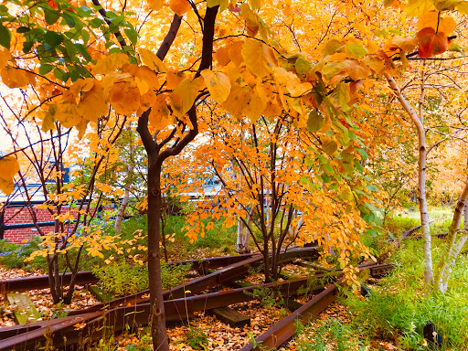 Modern Art Museum «Whitney Museum of American Art», reviews and photos, 99 Gansevoort St, New York, NY 10014, USA