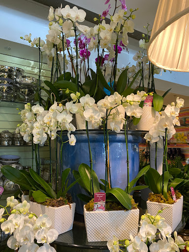 Florist «Cleveland the Florist», reviews and photos, 4404 Old Shell Rd, Mobile, AL 36608, USA