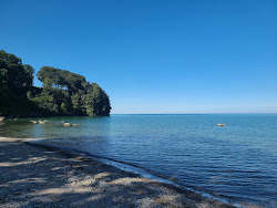 Shorewood Beach'in fotoğrafı - rahatlamayı sevenler arasında popüler bir yer