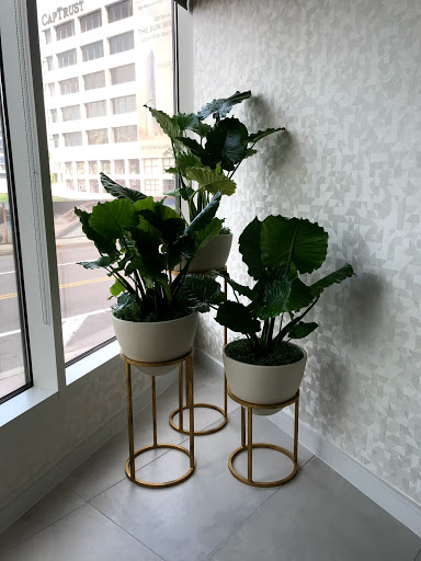 Florist «Artistic Florist Of Tampa», reviews and photos, 2509 W Busch Blvd, Tampa, FL 33618, USA