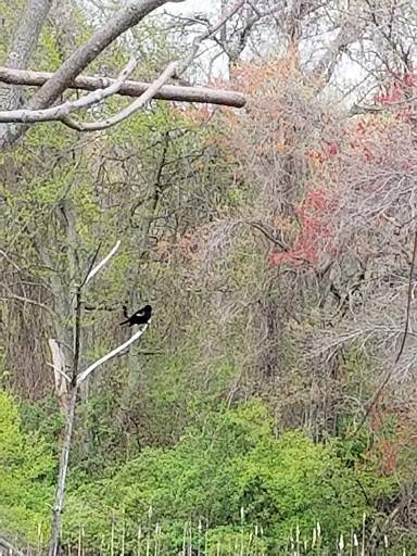 Park «Vietnam Veterans Park», reviews and photos, Treble Cove Rd, Billerica, MA 01821, USA