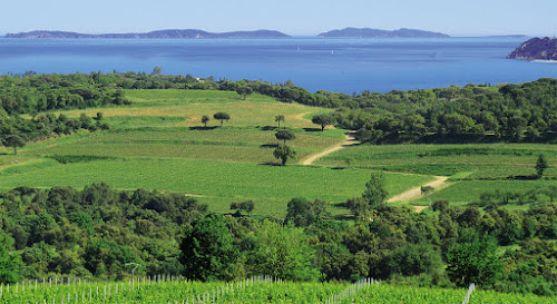 Blue Side - Propriétés et domaines viticoles à Gassin