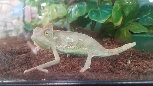 Pet Supply Store «Petco Animal Supplies», reviews and photos, 169 Federal Rd, Brookfield, CT 06804, USA