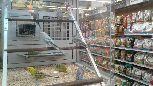 Pet Store «PetSmart», reviews and photos, 3152 Phoenix Center Dr, Washington, MO 63090, USA