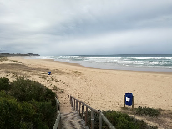 Swartvlei beach
