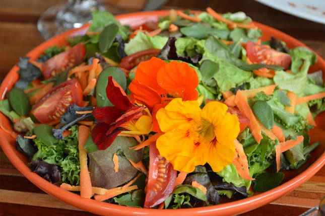 Comentarios y opiniones de IntiRumi Inn - Hotel & Restaurante Huerta a Mesa