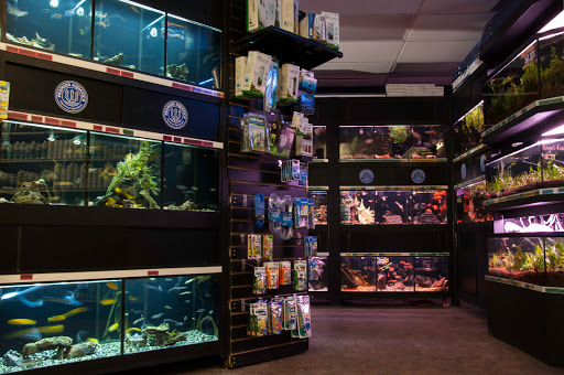 Tropical Fish Store «Premier Aquatics», reviews and photos, 1801 Roswell Rd, Marietta, GA 30062, USA
