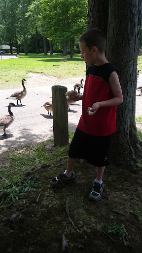 Public Swimming Pool «Water Works Family Aquatic Center», reviews and photos, 2025 Munroe Falls Ave, Cuyahoga Falls, OH 44221, USA