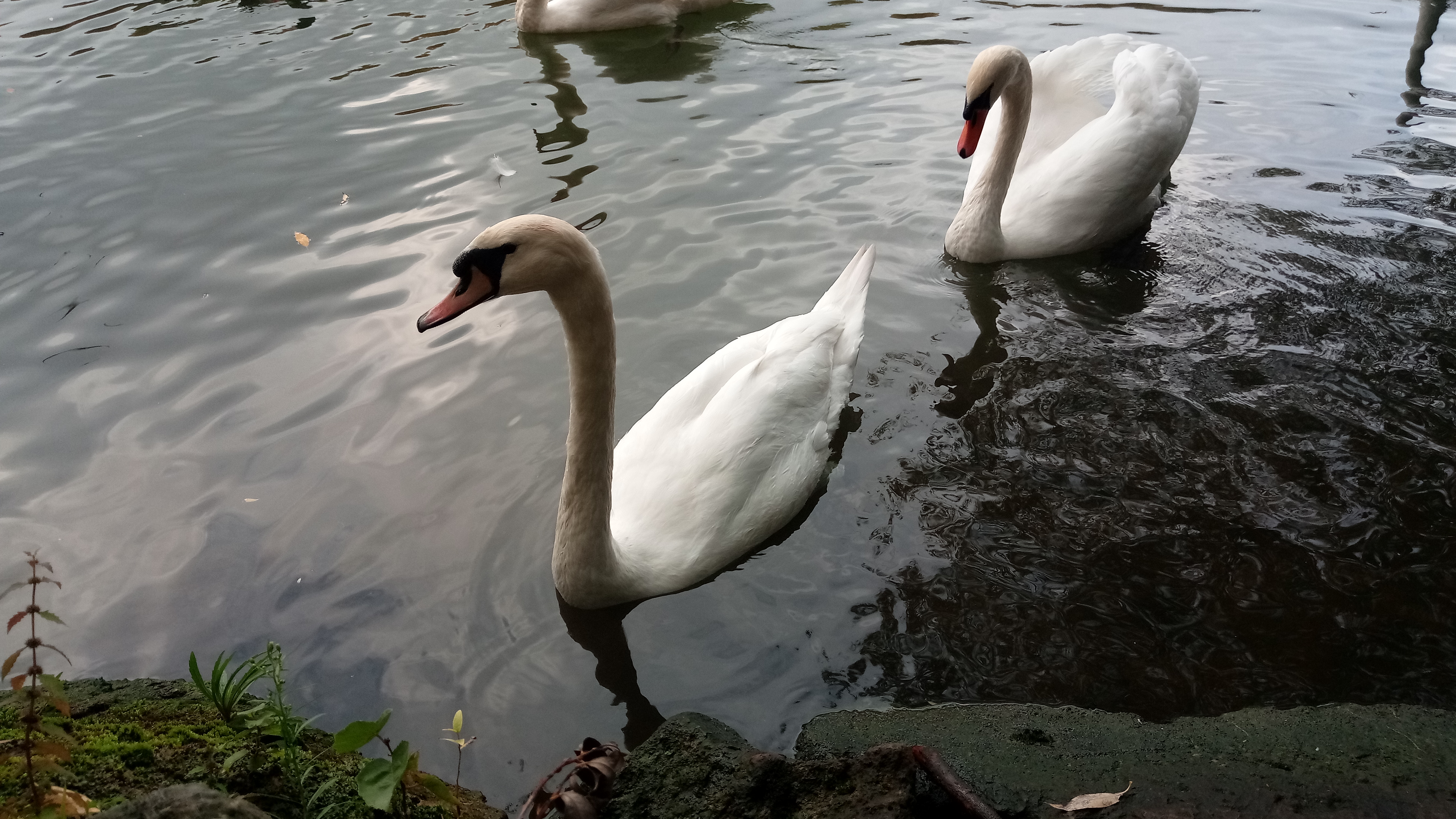 Photo n° 3 de l'avis de Arnaud.N fait le 19/05/2019 à 09:20