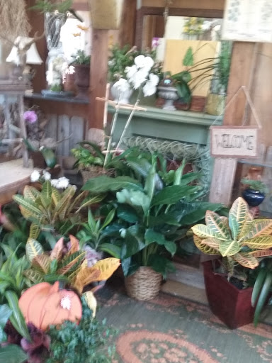 Florist «K. Mike Whittle Designs Inc.», reviews and photos, 156 Church St, Marietta, GA 30060, USA