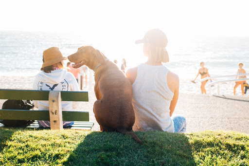 Pet cemetery Paradise