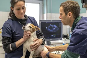 Veterinary clinic of genet image