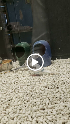 Pet Supply Store «PetSmart», reviews and photos, 2801 Pine Lake Rd, Lincoln, NE 68516, USA