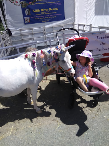 Animal Feed Store «Barnstable Farm & Pet», reviews and photos, 48 Lombard Ave, West Barnstable, MA 02668, USA