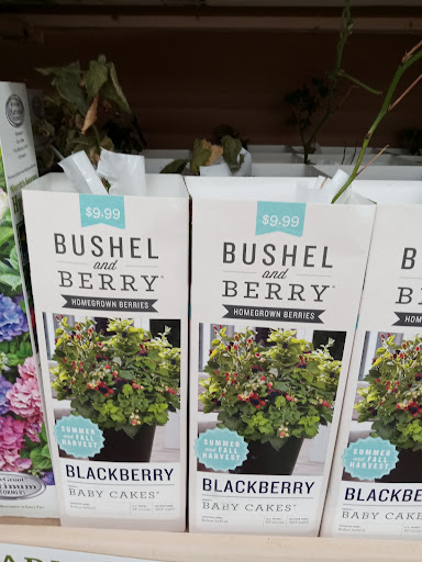 Home Improvement Store «Tractor Supply Co.», reviews and photos, 2648 Coweeman Park Dr, Kelso, WA 98626, USA