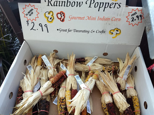 Supermarket «Big Y», reviews and photos, 700 S Main St #2, Great Barrington, MA 01230, USA