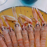 Photo n°1 de l'avis de Luisa.e fait le 14/02/2021 à 20:07 sur le  Ristorante Soprattutto à Santa Maria di Sala