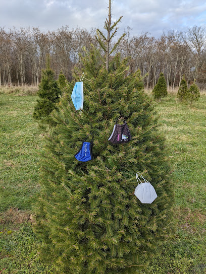 Blue Heron Christmas Tree Farm