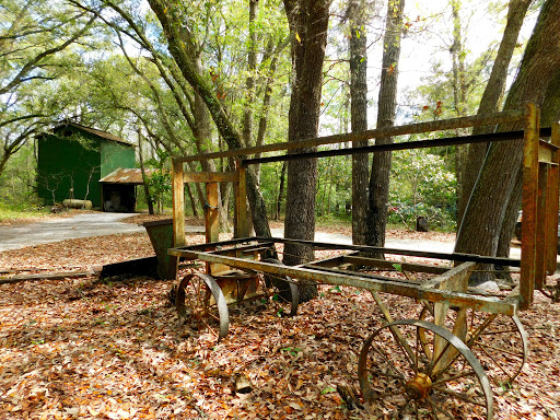 Vineyard «La Belle Amie Vineyard», reviews and photos, 1120 St Joseph Rd, Little River, SC 29566, USA